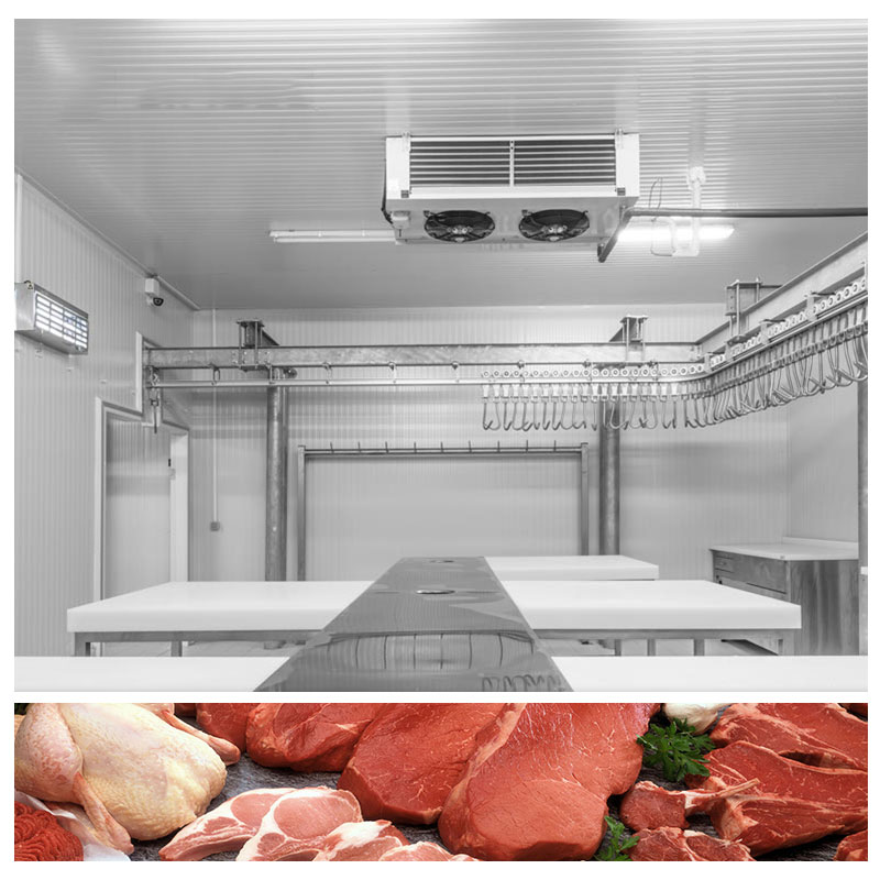 100CBM Commercial Refrigerated Walk-in Storage Cold Room for Frozen Meat, Frozen Fish
