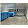 30CBM Commercial Refrigerated Walk-in Storage Small Cold Room for Fruit and Vegetable