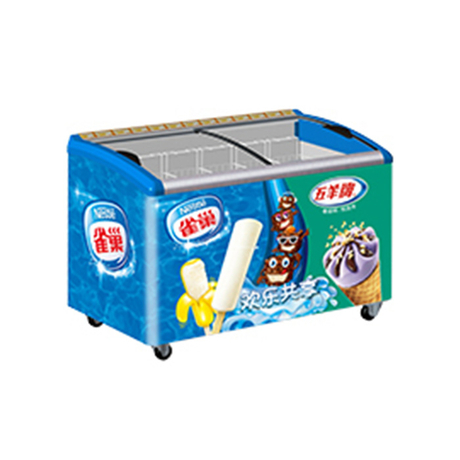 Commercial Ice Cream Freezer Display Case