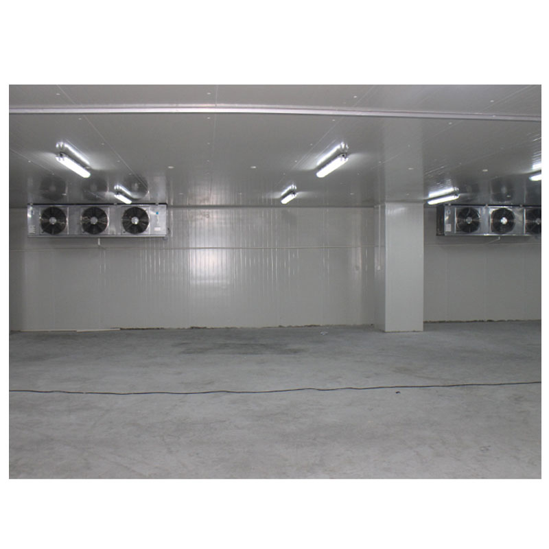 100CBM Commercial Refrigerated Walk-in Storage Cold Room for Fruit And Vegetable