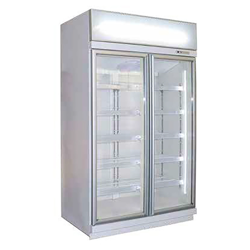 -1~10℃/≤-18℃ Plug-in/Remote Glass Door Case for CVS Upright Supermarket Freezer